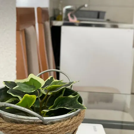 Bajka Banja Koviljača