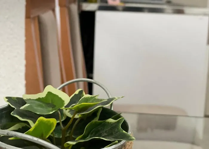 Bajka Banja Koviljača